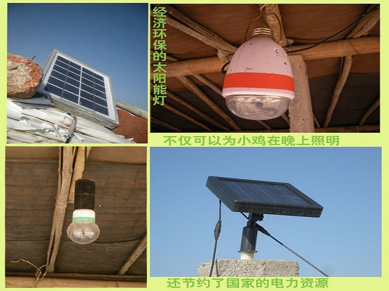 一只土鸡引爆网络 普通生意获百万流量，推手会是谁？